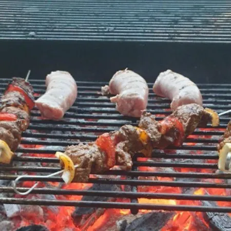 Confortable Avec Terrasse En Pleine Nature - Api-1-52-237 *